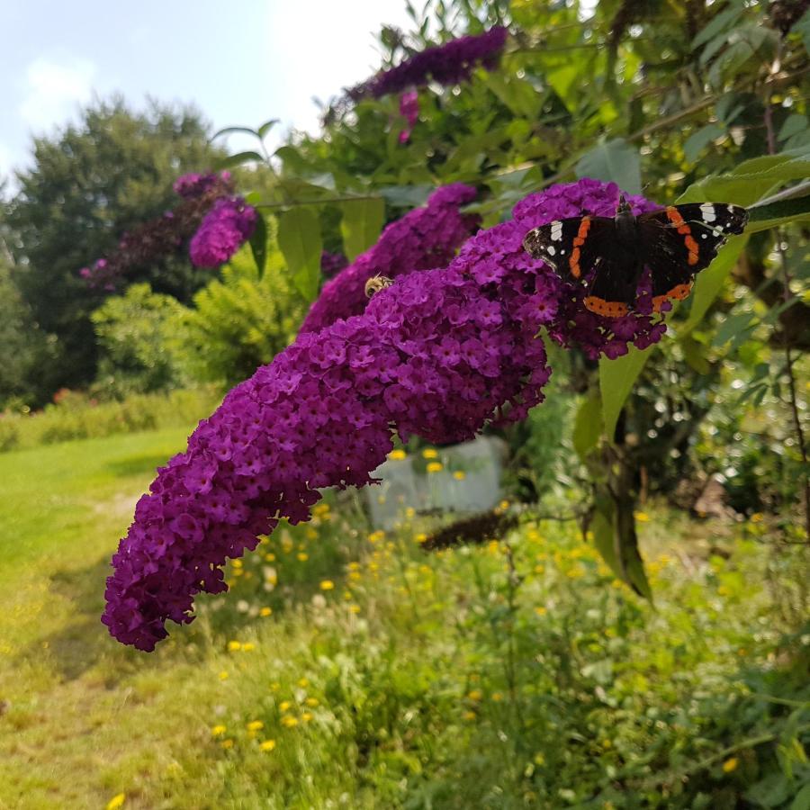 Domaine De La Chesnaie Bed and Breakfast Josselin Exterior foto