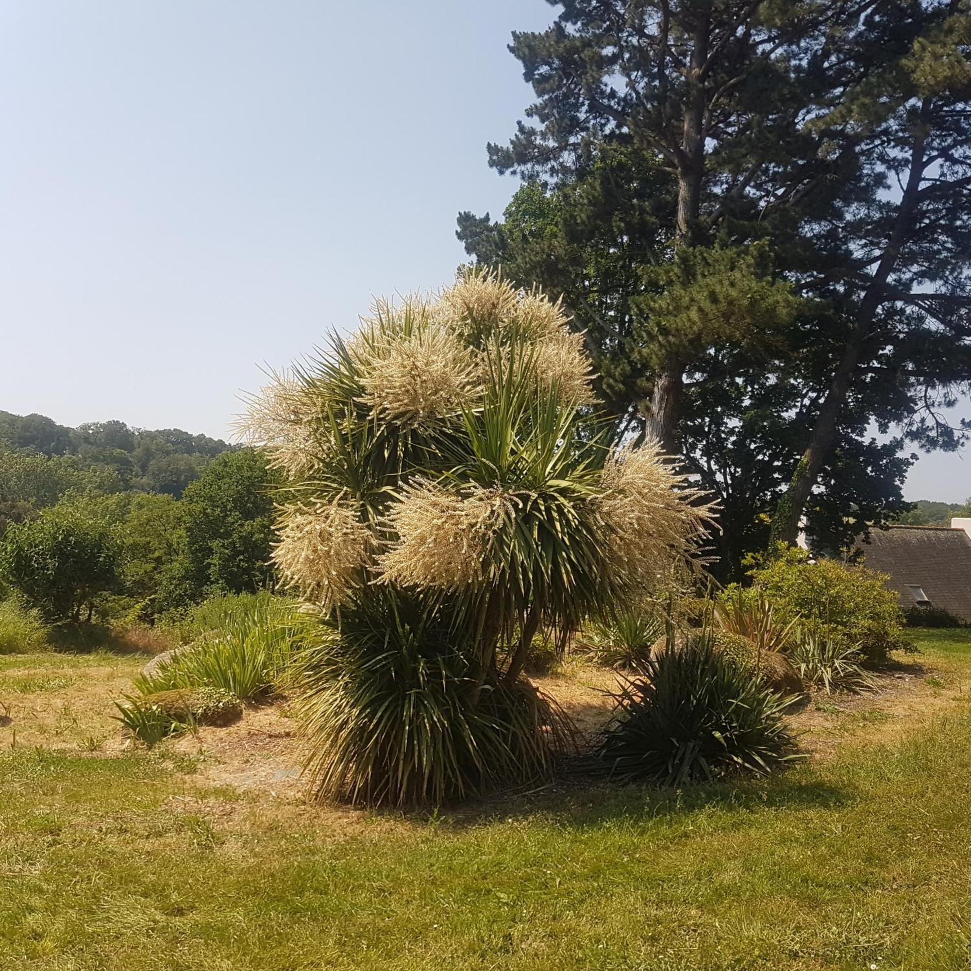 Domaine De La Chesnaie Bed and Breakfast Josselin Exterior foto