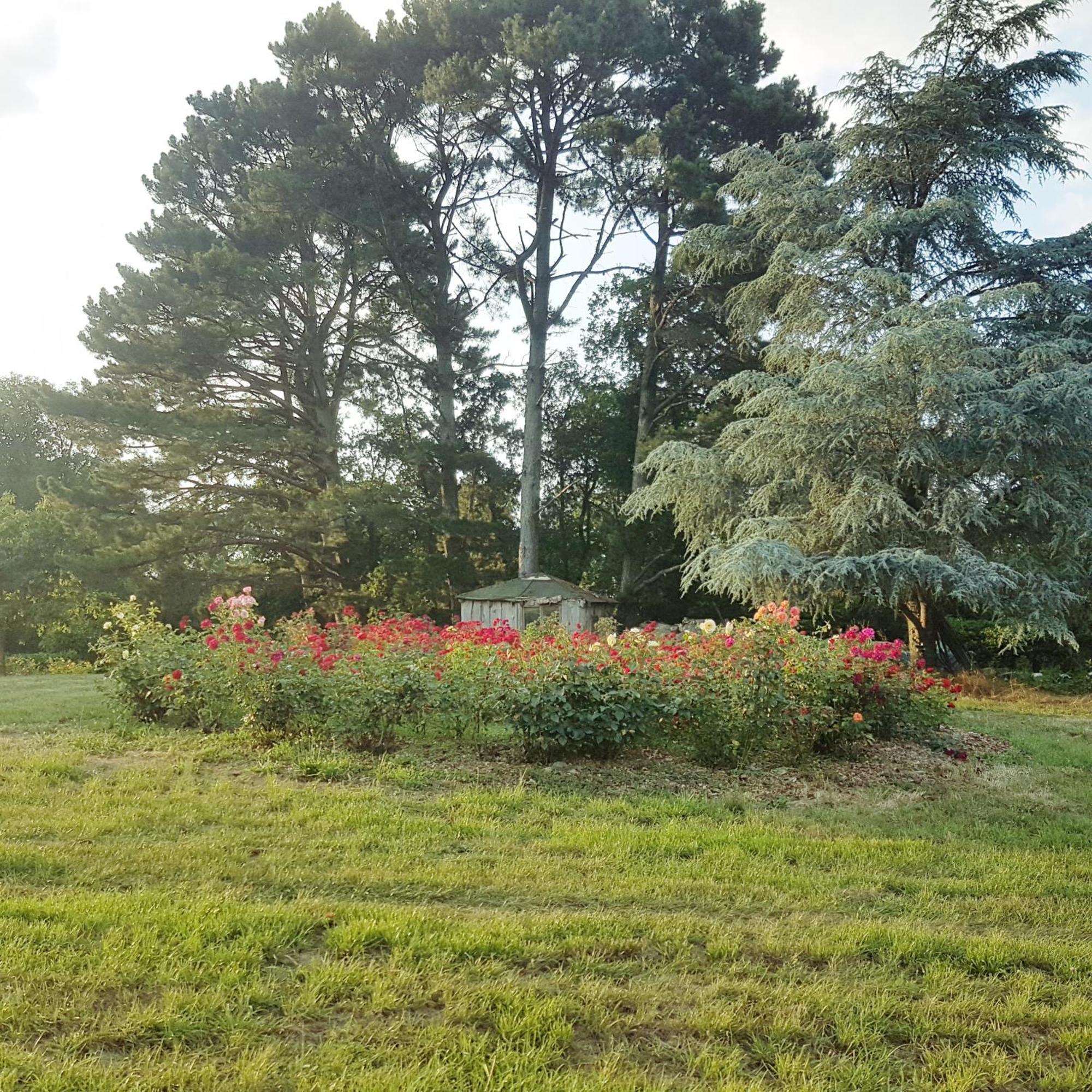 Domaine De La Chesnaie Bed and Breakfast Josselin Exterior foto