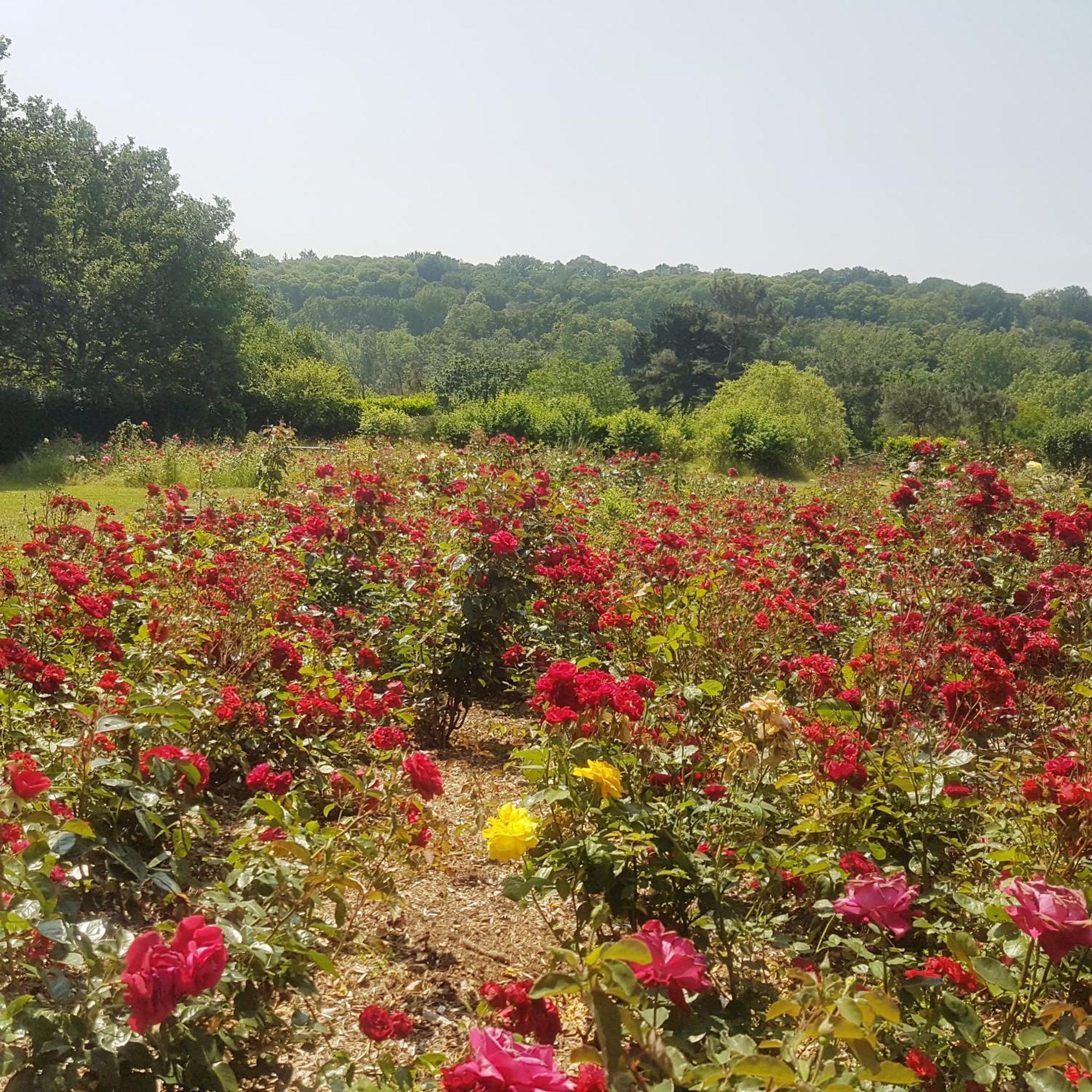 Domaine De La Chesnaie Bed and Breakfast Josselin Exterior foto